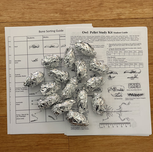 Replacement materials for the Origiinal Advanced Owl Pellet Kit