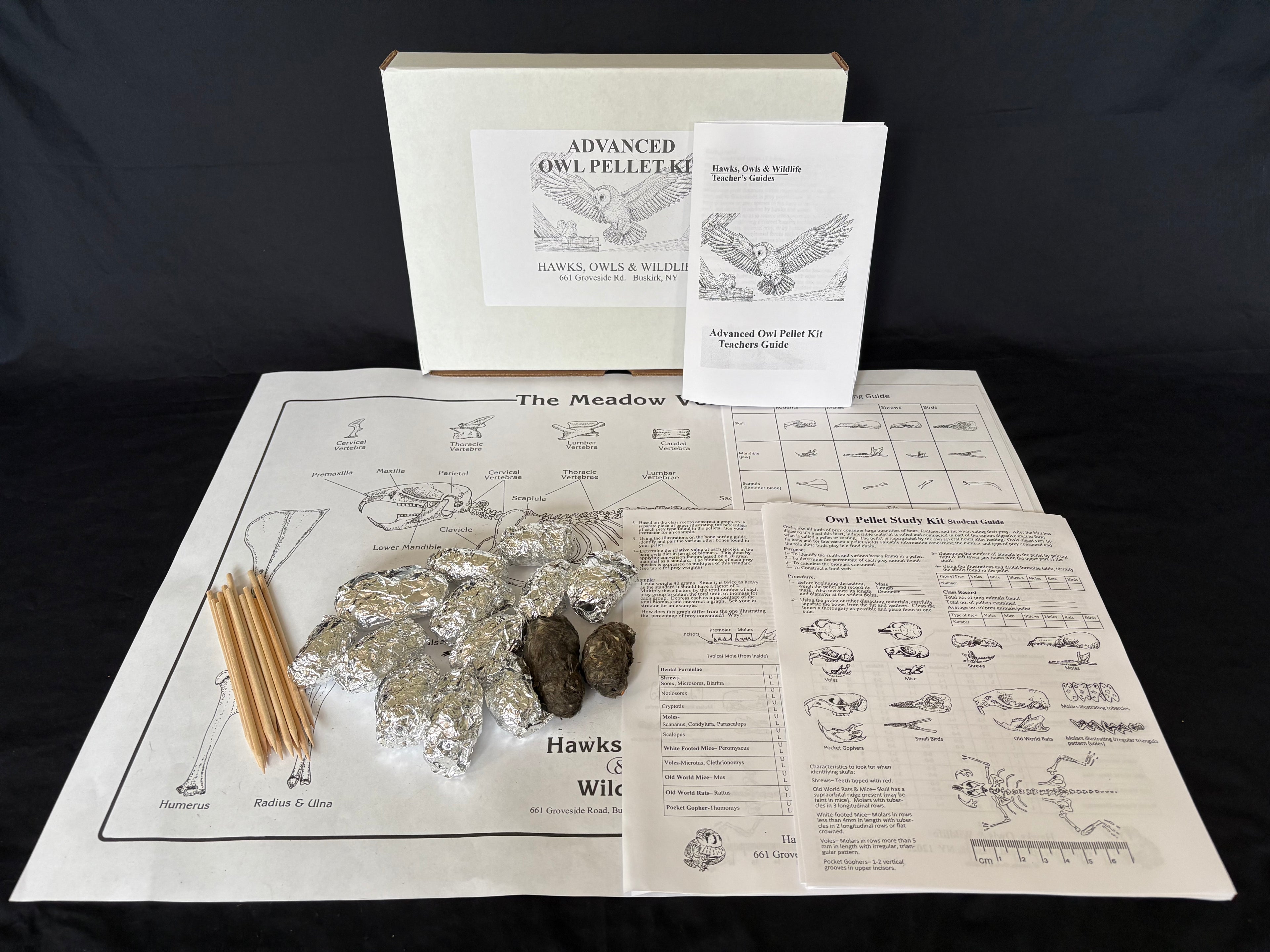 Advanced owl pellet kit for high school classrooms