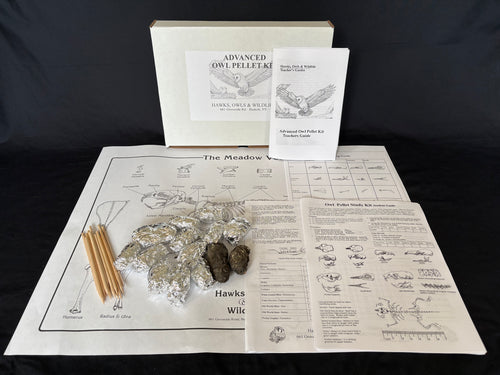Advanced owl pellet kit for high school classrooms