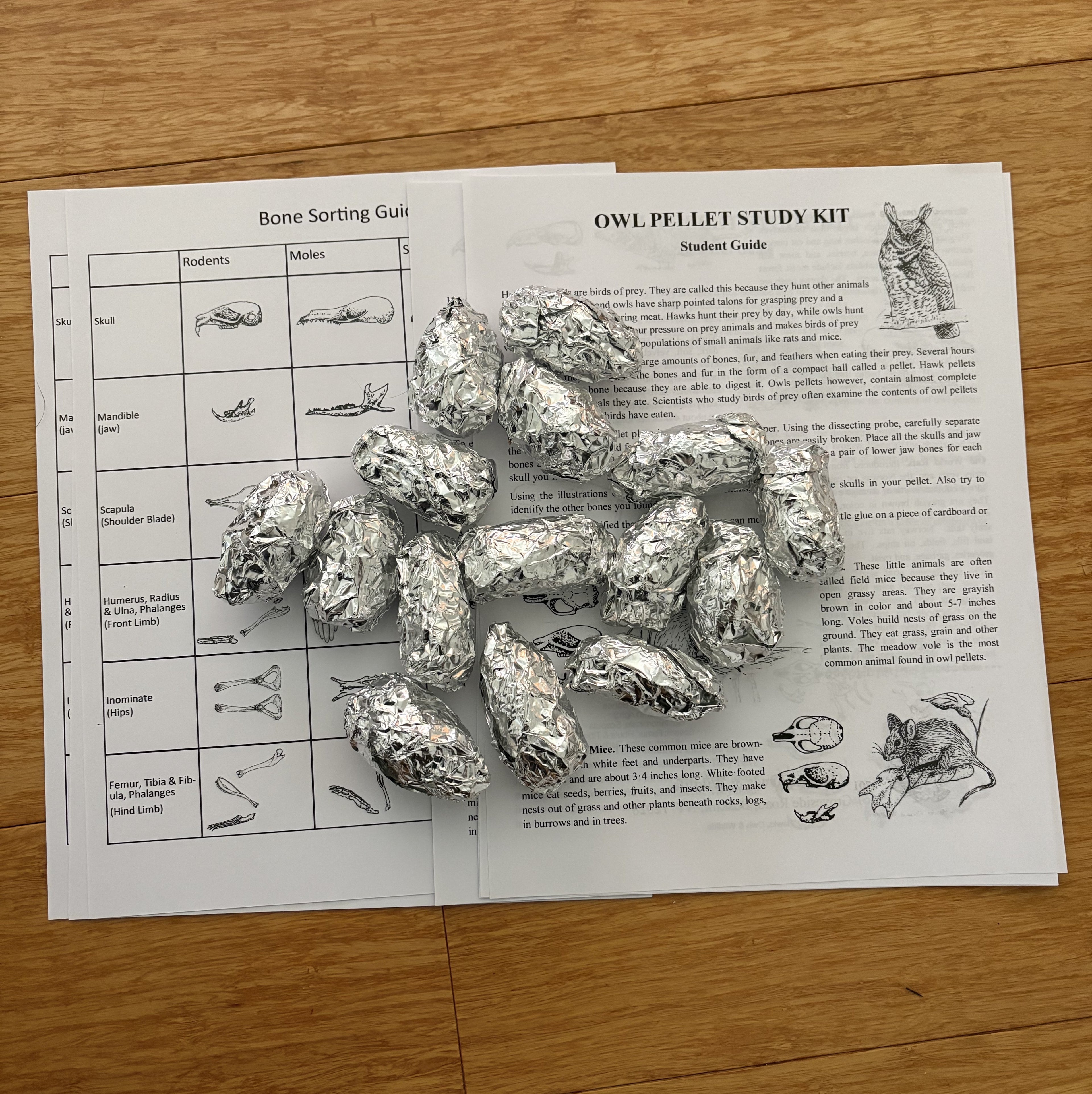 Replacemnt materials for the Original Elementary Owl Pellet KIt