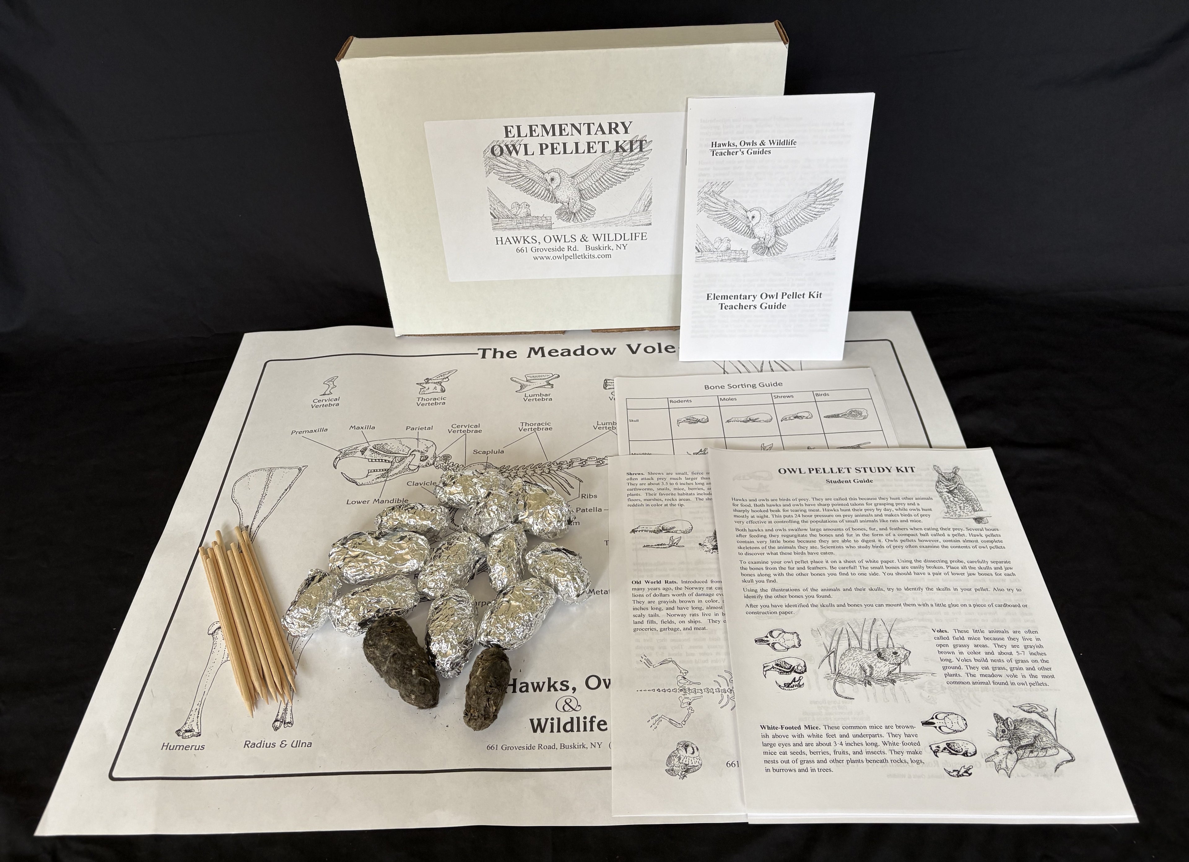 Elementary owl pellet kit for younger students