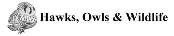 The Owl Pellet Specialists | Hawks, Owls &amp; Wildlife - Home