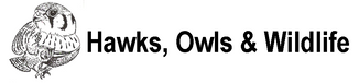 Hawks, Owls &amp; Wildlife | The Owl Pellet Specialists - Home