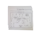 Individual Student Vole Charts