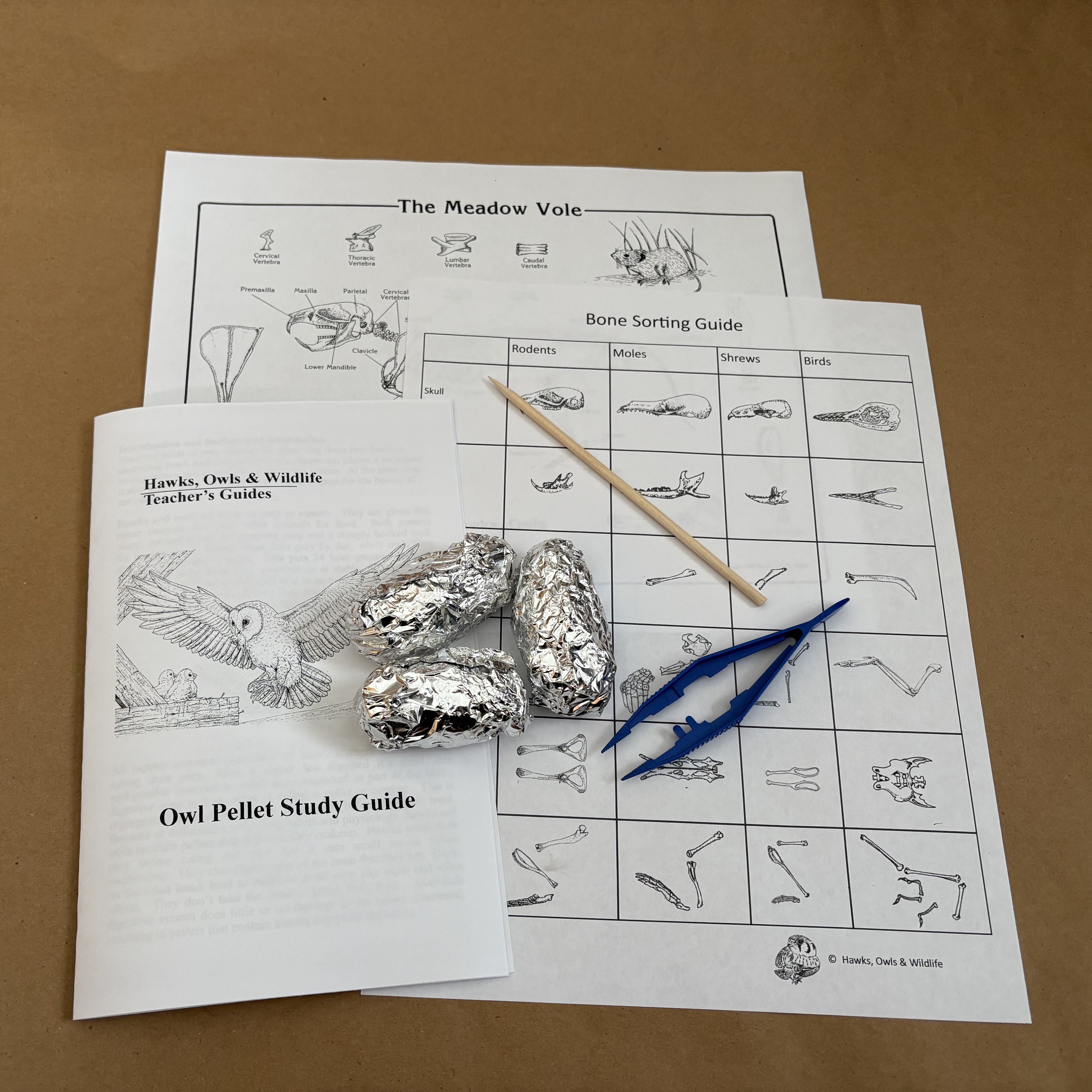 Owl Pellet Mini-Kit