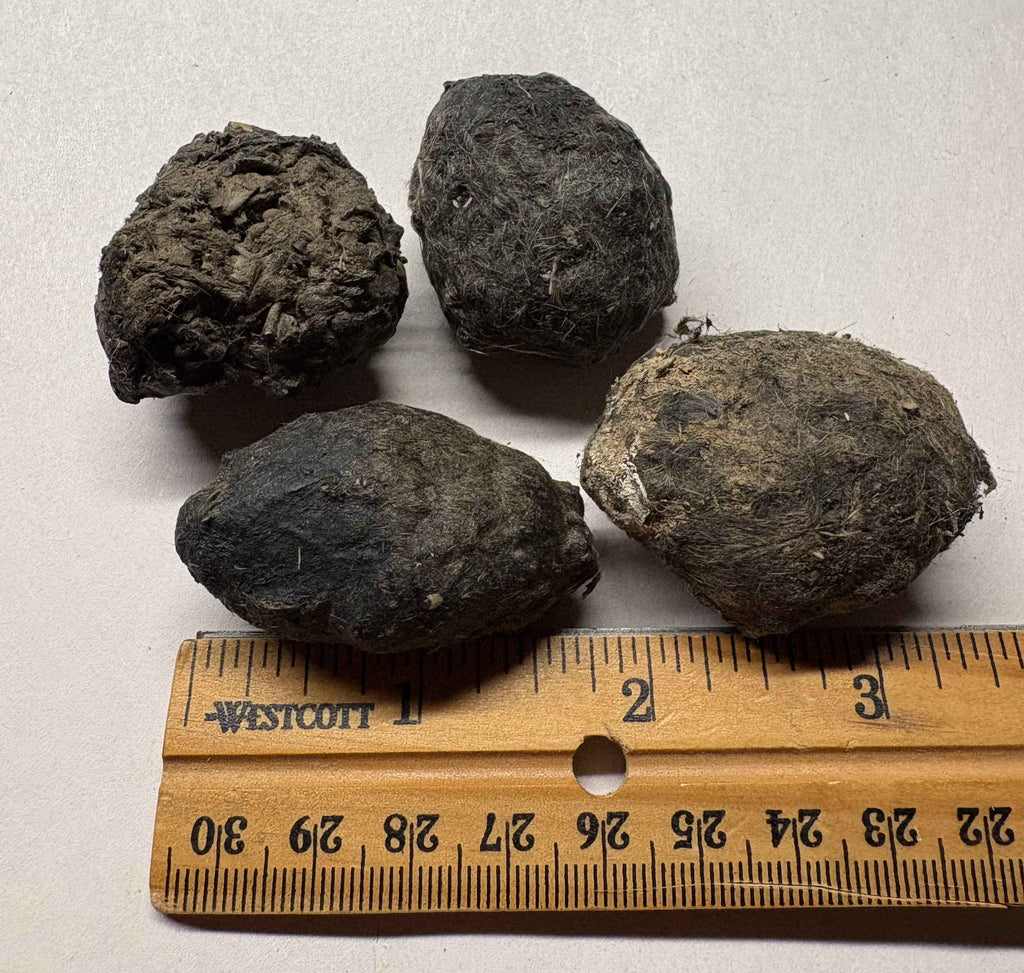 Small Owl Pellets- Hawks, Owls & Wildlife